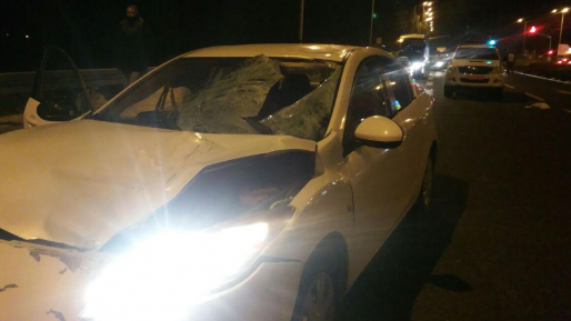 צילום: דוברות מד הולכת רגל נהרגה מפגיעת רכב סמוך לצומת פורדיס