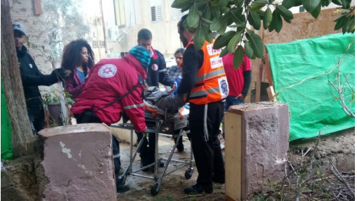 צילום: 0404 הולך רגל נפגע קל מקריסת עץ בנשר