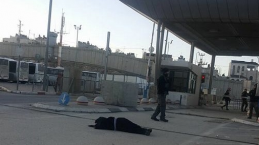 צילום: צפו: מחבלת חמושה בסכין נוטרלה במעבר קלנדיה