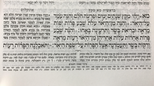 צילום: 0404 חלום מגשים חלום – על פרשת השבוע "מקץ"