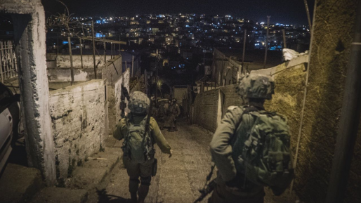 צילום: דובר צה״ל הזוים | ״איגוד הבמאיות והבמאים״ נגד ביהמ״ש שאסר הקרנת ג׳נין ג׳נין: ״דרך אלימה של השתקה״