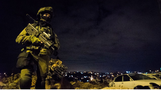 צילום: דובר צה״ל 8 מבוקשים נעצרו בח׳רבת עקבה, חברון וקדום