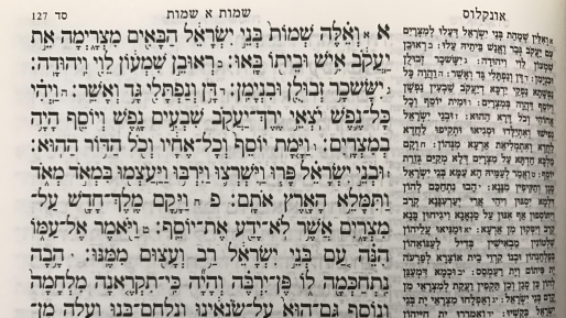 צילום: פרשת שמות: ממשפחה לעם – שעבוד בני ישראל למצרים וצמיחתו של משה רבנו