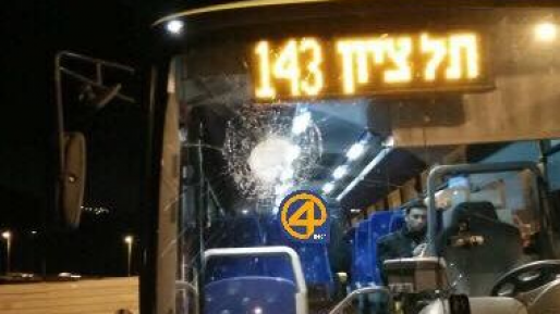 מוריה ישר