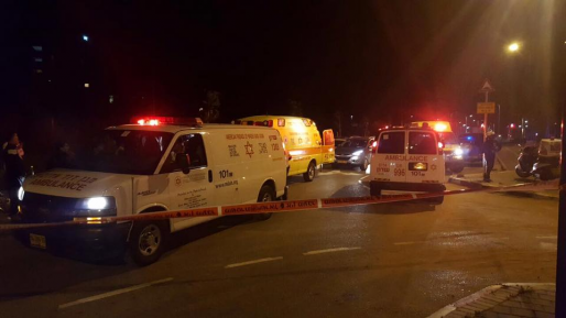 צילום: תיעוד מבצעי, מד״א חשד לפגע וברח: צעיר נמצא ללא רוח חיים סמוך לצומת נחושה