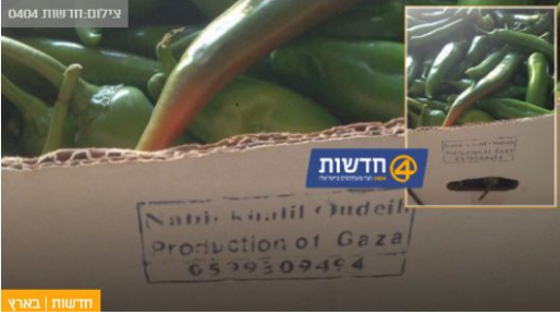 צילום: חדשות 0404 הזמני שהפך לקבוע: הירקות שצה"ל רוכש מחקלאים בעזה