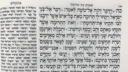 צילום: 0404 של מי התורה הזאת? על פרשת השבוע "תרומה"
