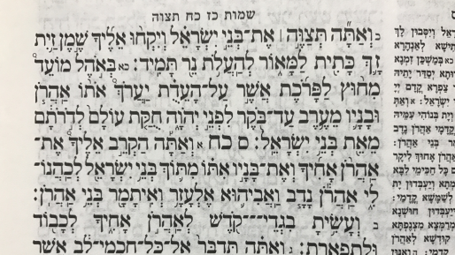 צילום: 0404 מנהיג אמתי – על פרשת השבוע ״תצוה״