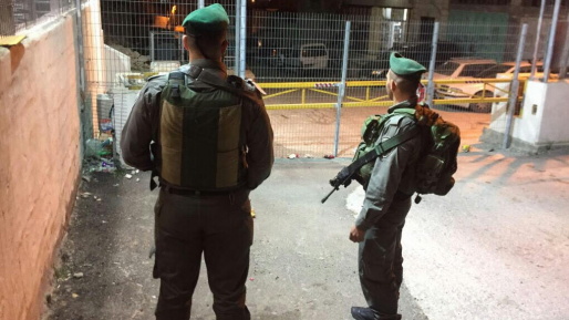צילום: דוברות המשטרה לוחמי מג"ב עצרו ערבי עם סכין בחברון
