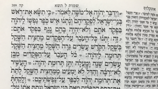 צילום: 0404 על המדרון החלקלק וסכנותיו | אלישי בן יצחק