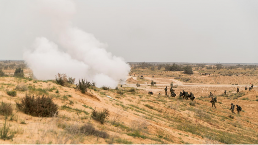 צילום: דובר צה צפו: תרגיל הפתע המטכ"לי של חיילינו המילואימניקים מעוצבת סיני