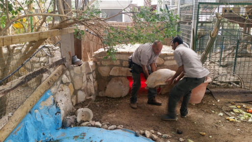 צילום: אריה רוזנברג, רשות הטבע והגנים פקחי רשות הטבע חילצו חיות בר שהוחזקו בתנאים קשים בפונדק "כושי רימון"