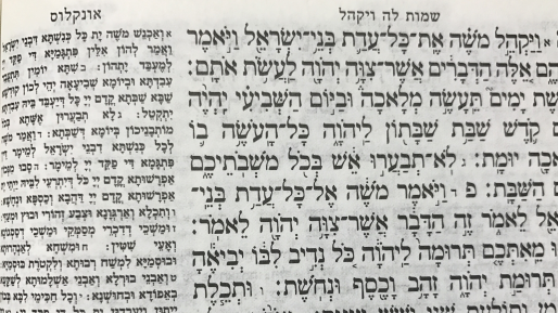צילום: 0404 השבת אינה ״סוף שבוע״ – על פרשת ויקהל פקודי