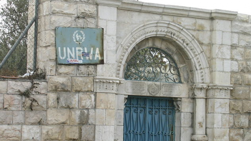 צילום: ויקיפדיה פירות השלום: איחוד האמירויות קיצצה דרסטית בתקציב לאונר