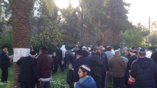 צילום: 0404 ברחבי הארץ בירכו את "ברכת האילנות" הנאמרת פעם בשנה