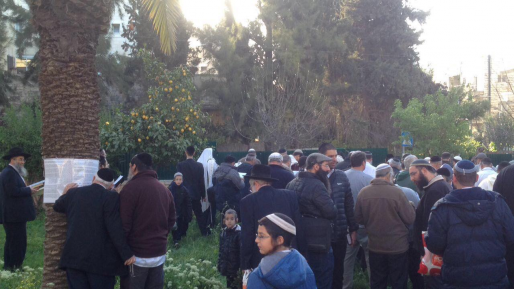 ברחבי הארץ בירכו את "ברכת האילנות" הנאמרת פעם בשנה