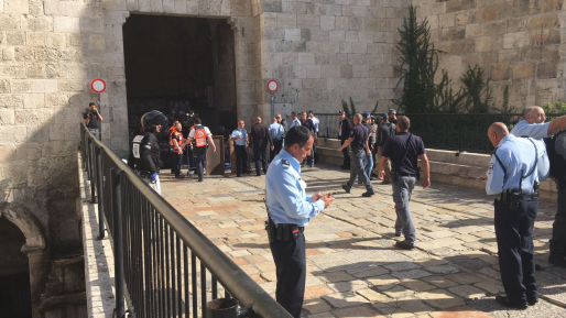 צילום: ג׳וש וונדר מחבלת חוסלה אחרי שניסתה לבצע פיגוע דקירה בשער שכם