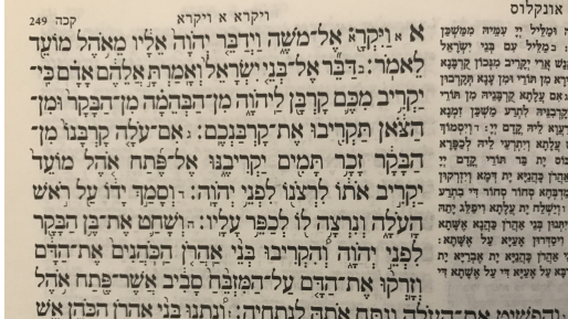 צילום: 0404 אתה קראת לי! על פרשת השבוע ״ויקרא״