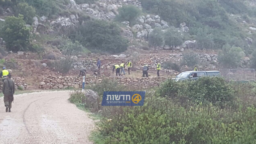 צילום: 0404 כוחותינו פינו השתלטות ערבית באמצעות 150 עצים שנטעו בואדי קנה