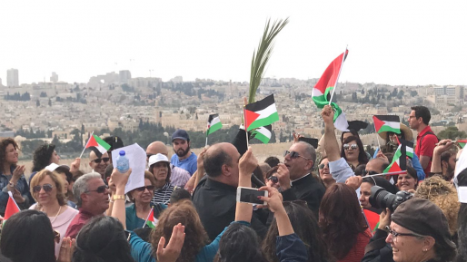 צילום: שלמה מור הקואליציה הצביעה נגד הצע