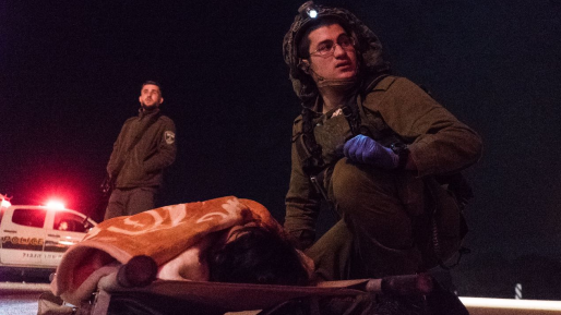 צילום: דובר צה צפו בכוחותינו מטפלים בפצועים סורים שנפגעו במלחמת האזרחים