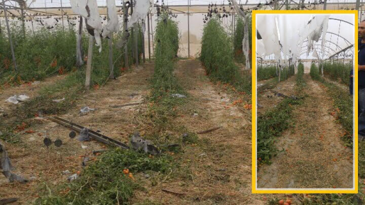 צילום: בטחון שדה ראש מועצת אשכול: "לצערנו השקט הופר – נמשיך בשגרת החיים"