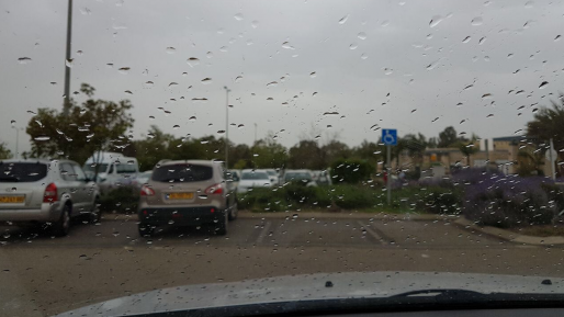 צילום: גיל שכטר החורף חוזר: גשם יירד מצפון ארצנו ועד לדרומה, חשש לשיטפונות במקומות המועדים