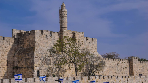 צילום: גילעד פילבר ארצנו המיוחדת והיפה: חג שמח מירושלים בירתנו