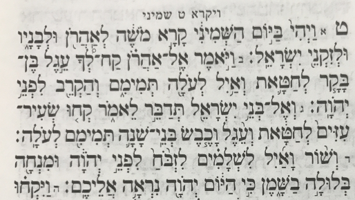 צילום: 0404 לא נוסף חטא חדש – פרשת השבוע ״שמיני״