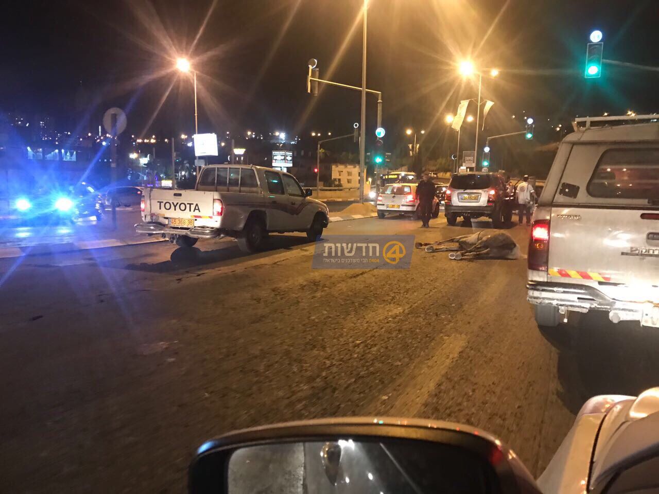 צילום: אבשלום אהרוני רכב פגע בסוס בירושלים – בן שנתיים נפצע בינוני