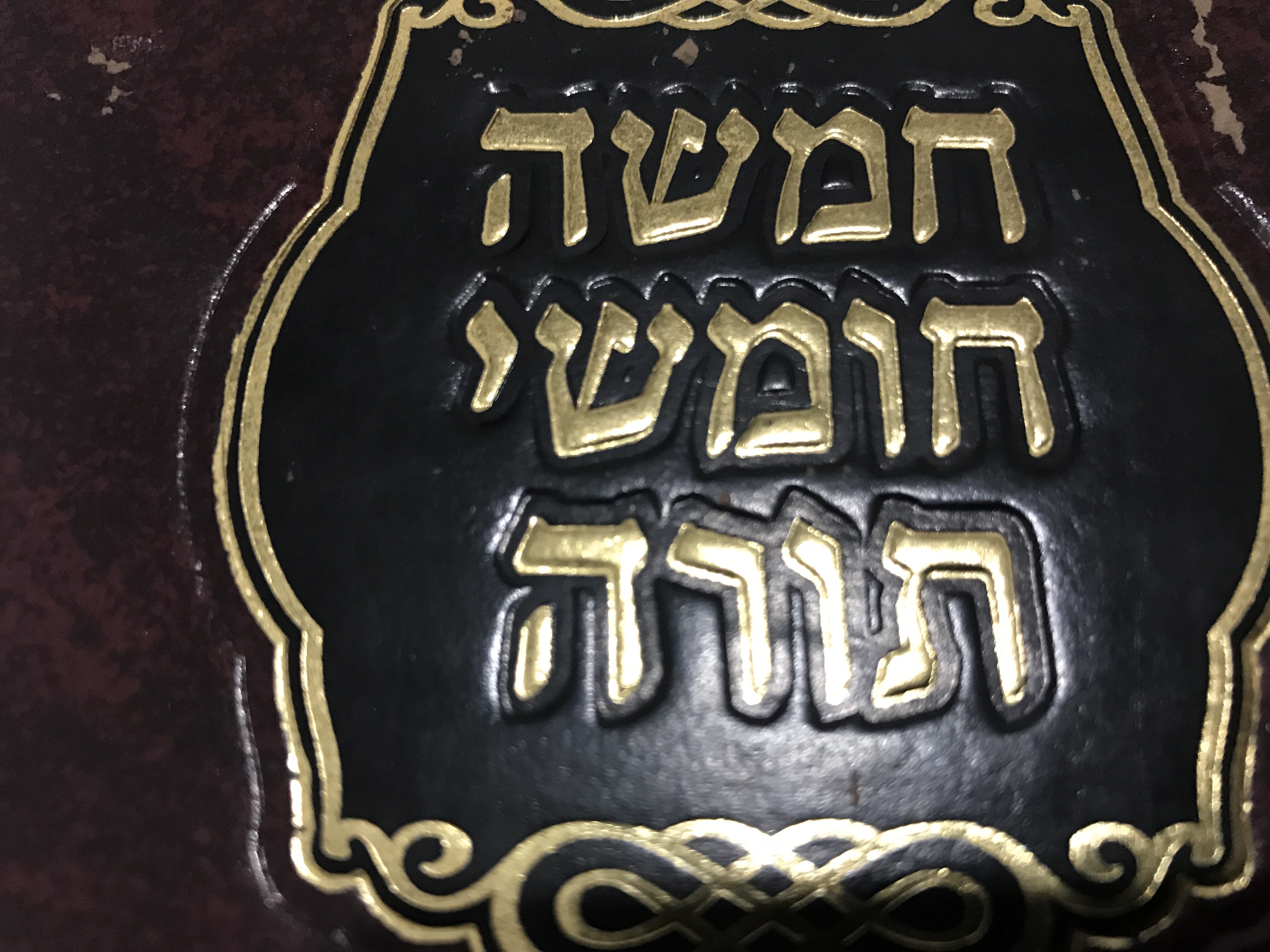 צילום: 0404 אנחנו נורמליים! – על פרשת השבוע ״וישלח״