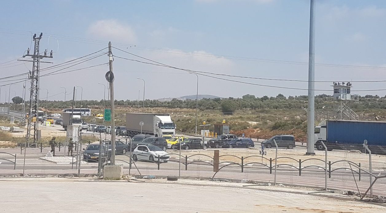 צילום: גילעד הדרי ההשתוללות הערבית בכבישי יו