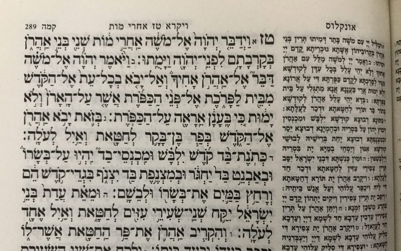 צילום: 0404 גורל אינו מקרה – על פרשת השבוע "אחרי מות"