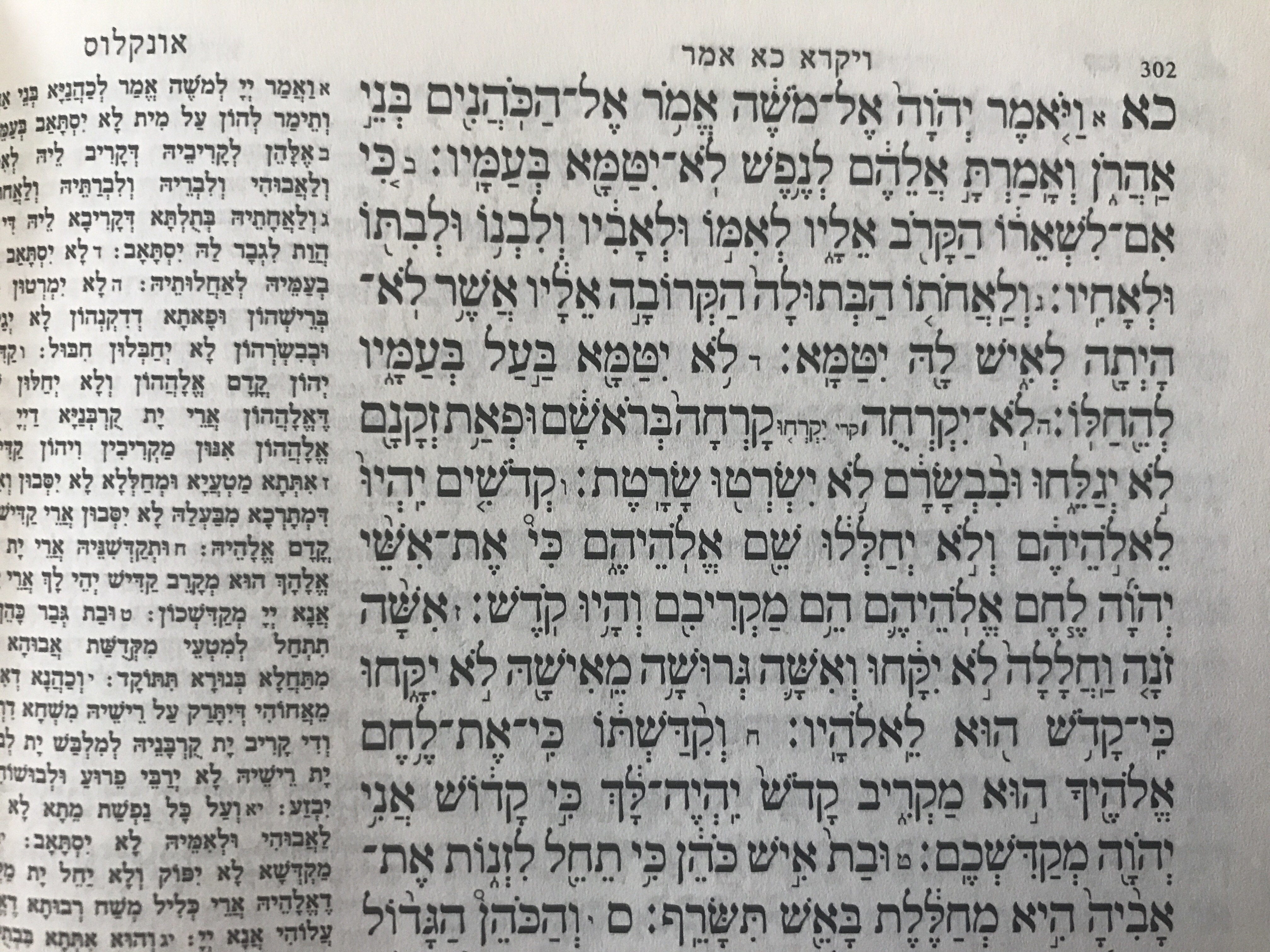 ימי הסדר – על פרשת השבוע אמור