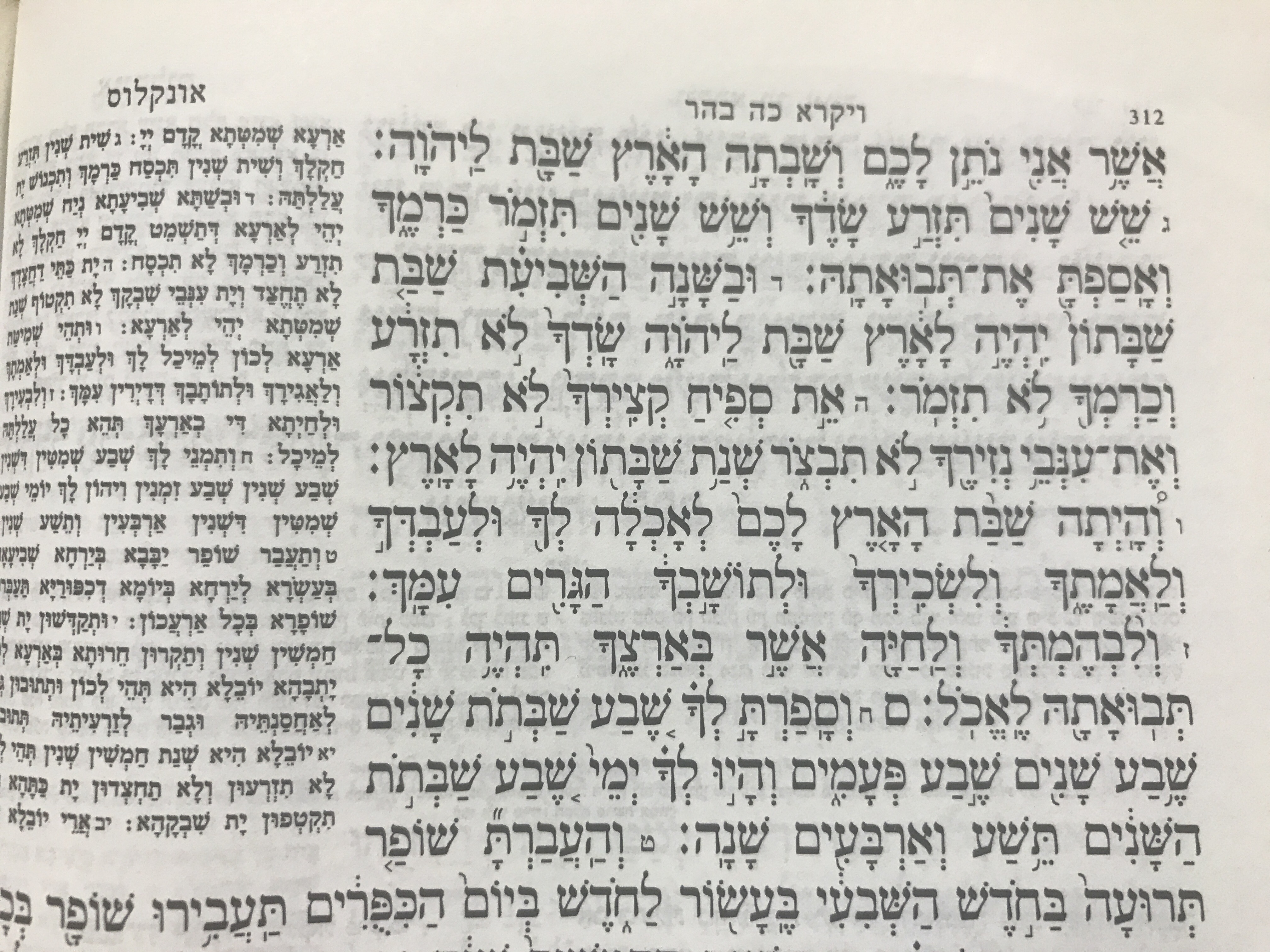 ארץ גמדה – על פרשת השבוע ״בהר-בחוקותי״