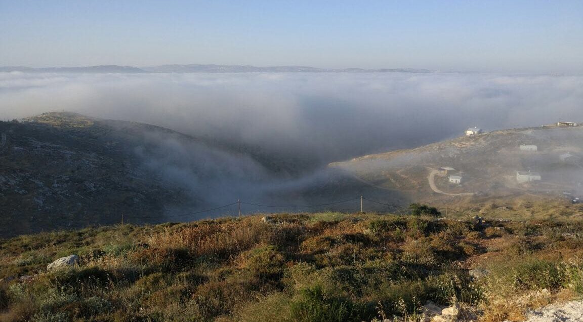 צילום: שמעון בליניצקי כך יראה הסופ