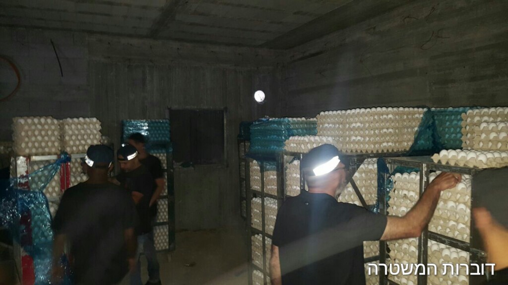 צילום: דוברות המשטרה צפו: 69,000 ביצים מסוכנות למאכל אדם נתפסו במחסן של תושב טמרה