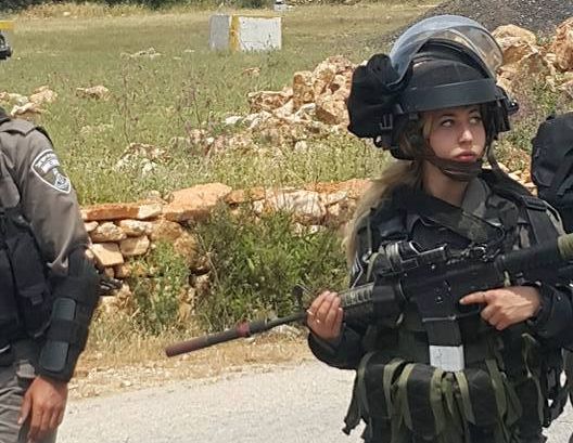 צילום: תקשורת ערבית הלוחמת שמראה לערבים מי בעל הבית בארצנו!