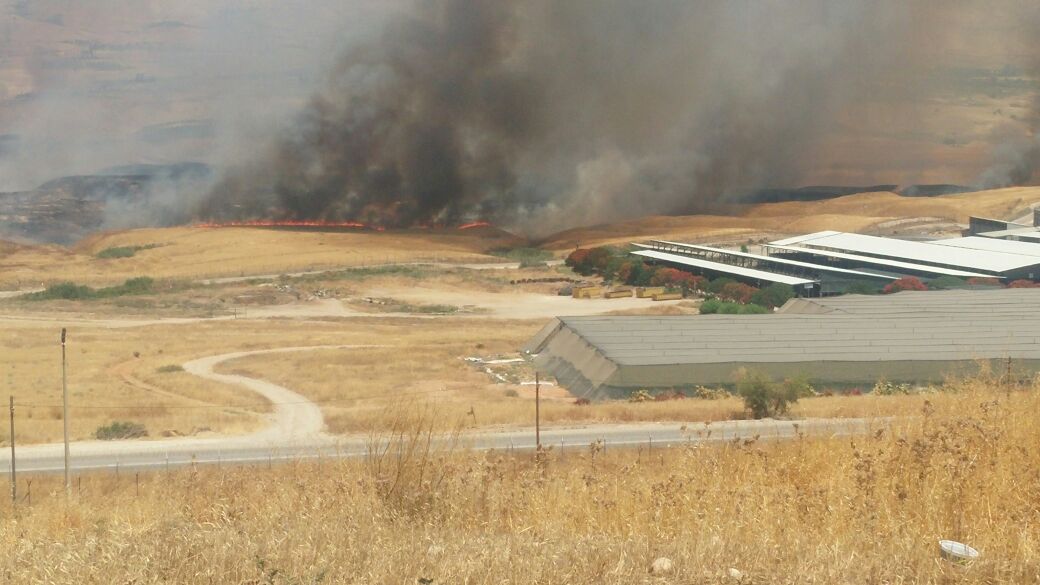 צילום: בארי זכאי מטוסי כיבוי הוזנקו לשריפת קוצים גדולה שפרצה בכביש 90 מדרום לעין סוכות