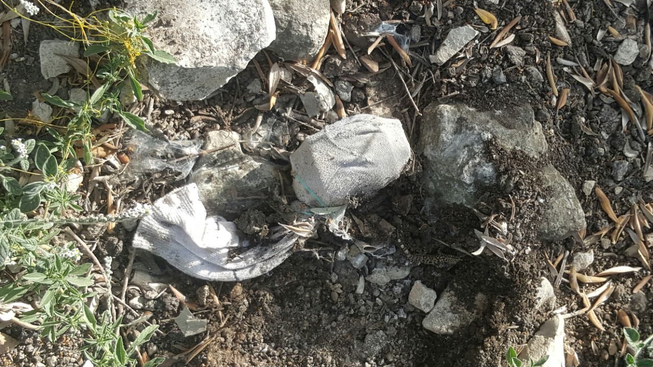 צילום: דוברות המשטרה מטען צינור הושלך לעבר מתחם קבר השייח בגוש עציון