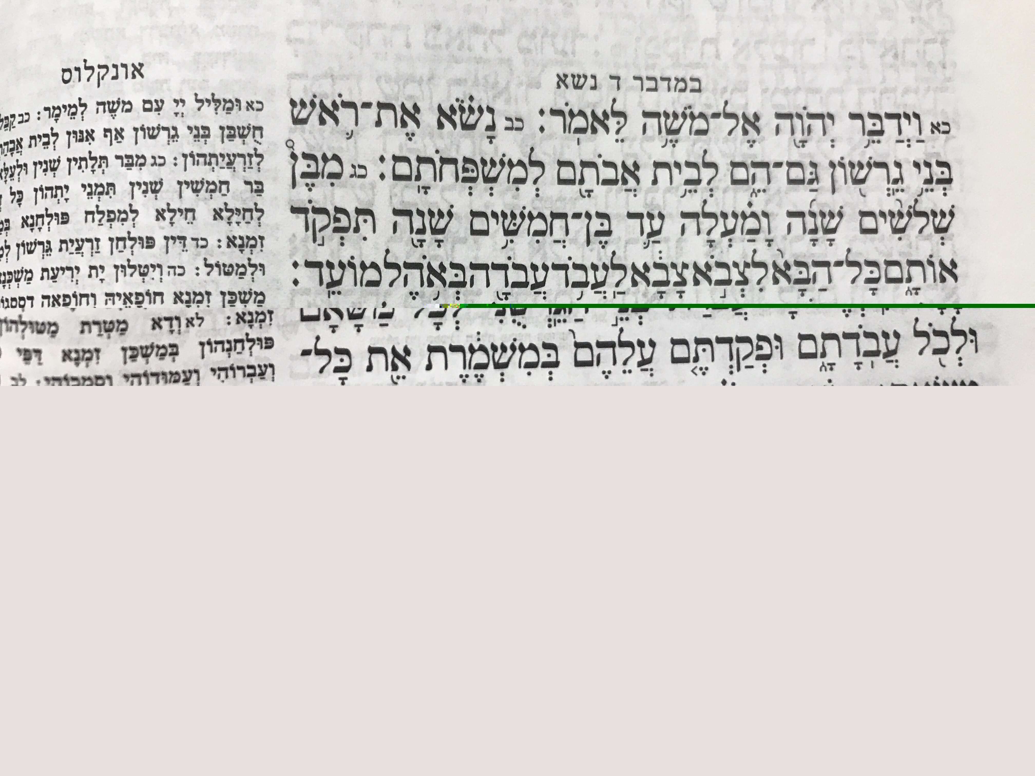 ר' עקיבא & בן גוריון – על פרשת השבוע נשא
