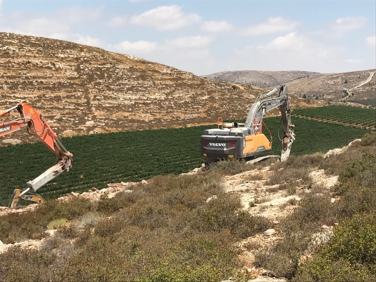 צילום: שלמה מור יו"ר מטה עמונה על הפניית תקציב הקמת הישוב עמיחי לאחריות משרד הפנים: "ראש הממשלה הוכיח שהוא מחוייב לאנשי עמונה"