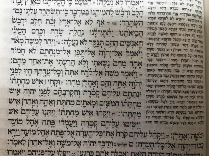 "ובני קרח לא מתו"