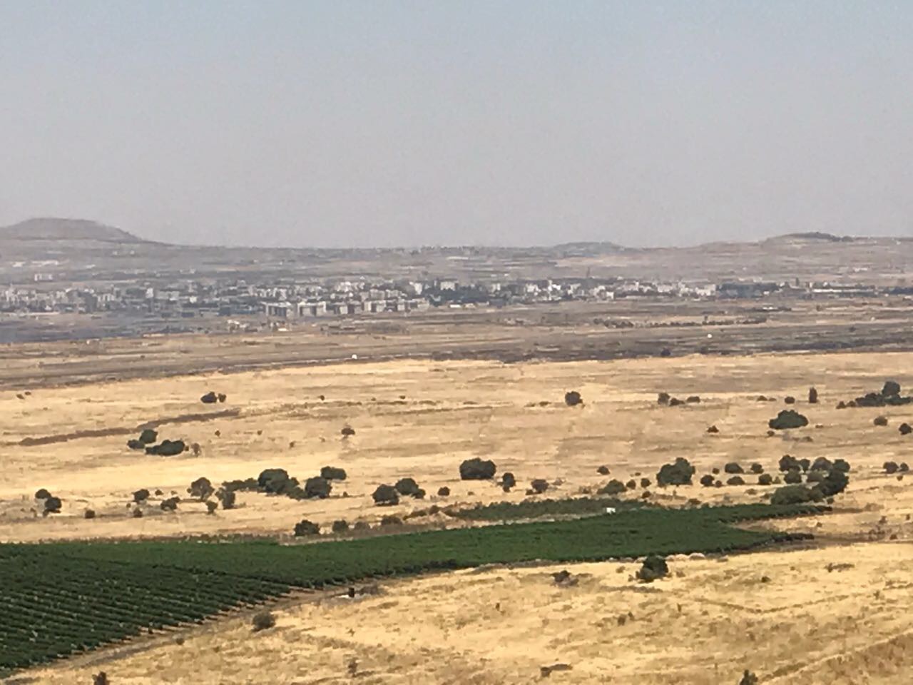 צילום: שלמה מור צה