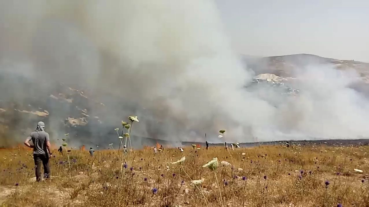 סמוטריץ' על טרור ההצתות ביו
