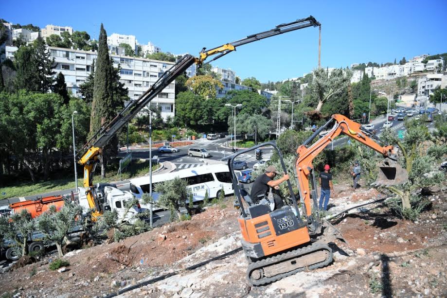 דוברות עיריית חיפה