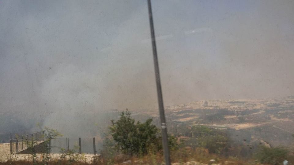 צילום: נתן דחבש לוחמי האש הוזעקו לשריפת חורש שפרצה ביער ליפתא בירושלים