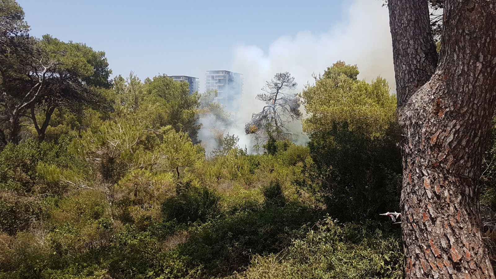 צילום: איחוד הצלה לוחמי האש השתלטו על השריפה בארמון הנציב בירושלים: "תושבים פונו זמנית מבתיהם"