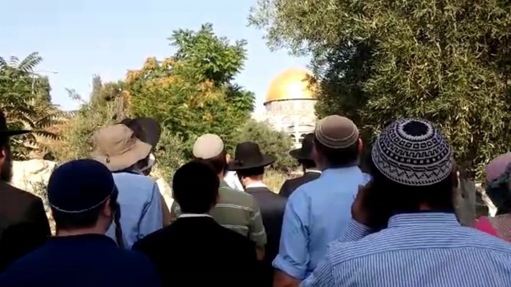 מטה ארגוני המקדש