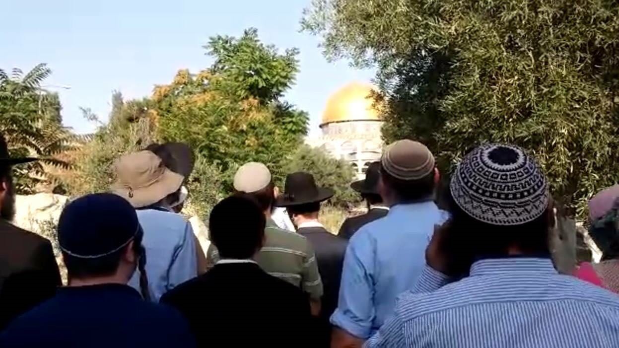 צילום: מטה ארגוני המקדש 2,079 יהודים עלו להר הבית במהלך חודש אלול